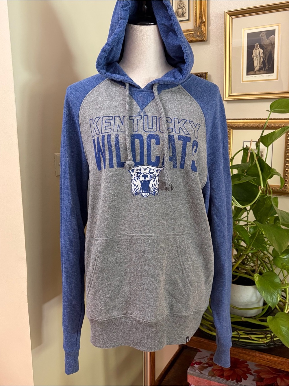 Womenβs Med Kentucky Wildcats vintage vibe Gray & Blue Pullover Hoodie
